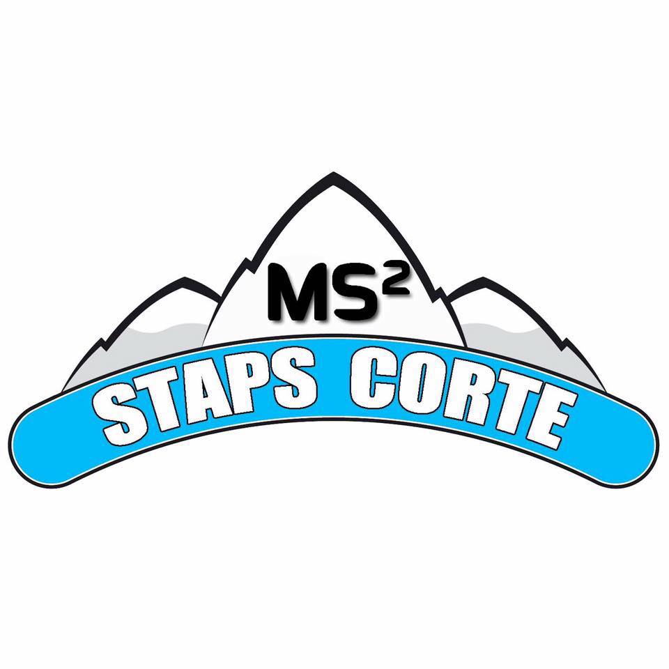 Logo MS²